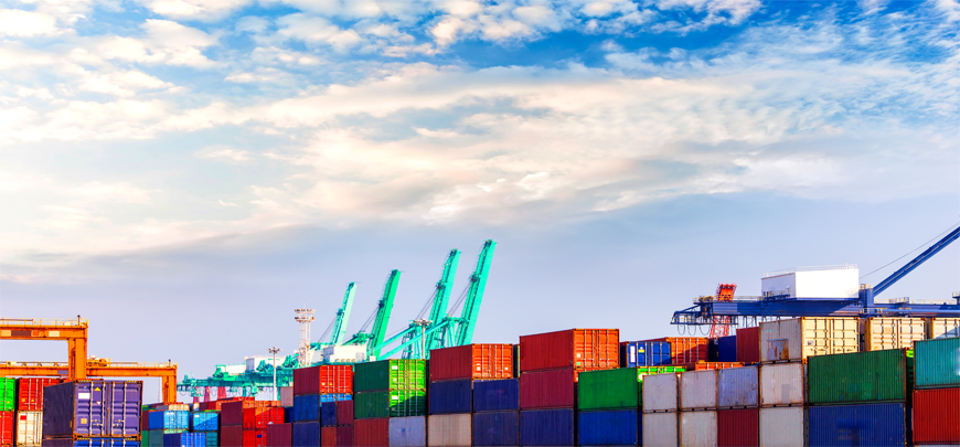 SARL Transmed - Vue d'ensemble